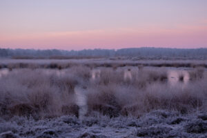 Holtveen Mooiste Plekje Jantiene Huizinga