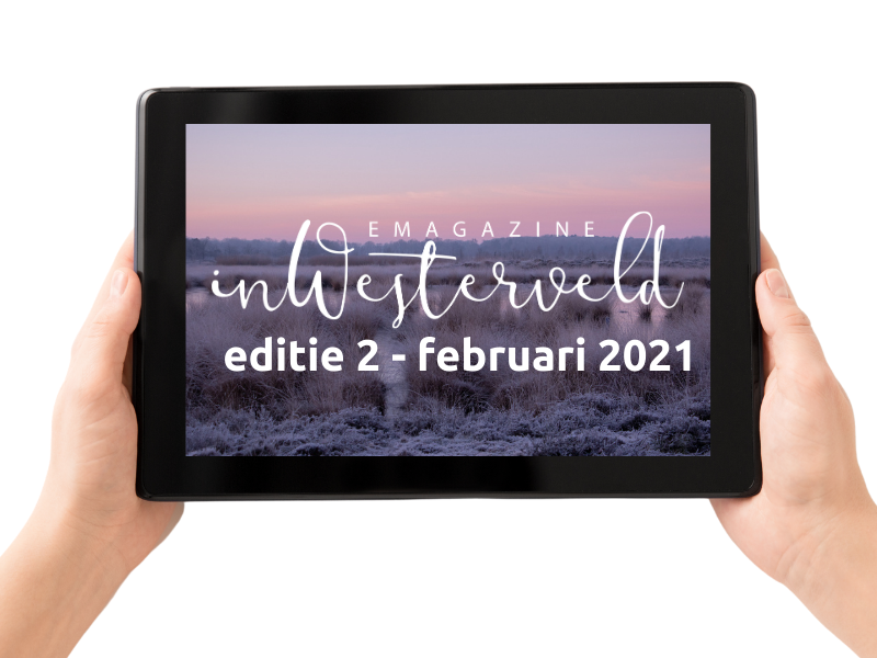 editie 2 - februari 2021