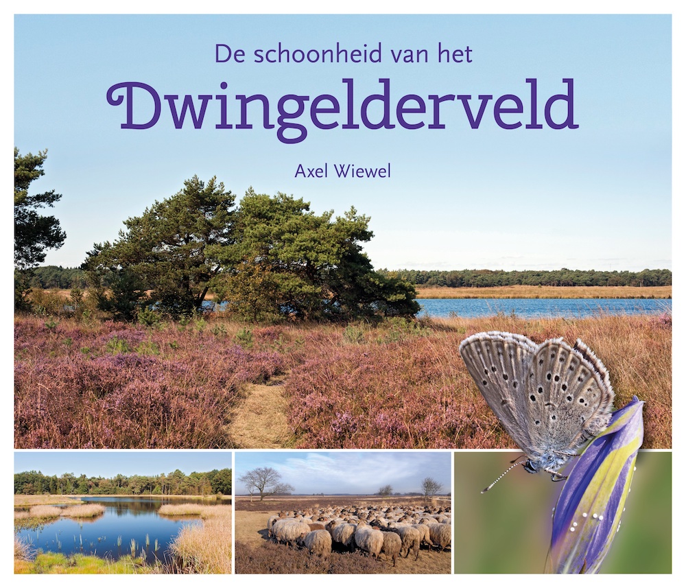 De Schoonheid van het Dwingelderveld_