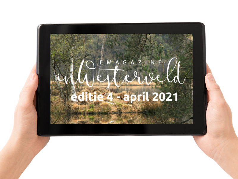 editie 4 - april 2021