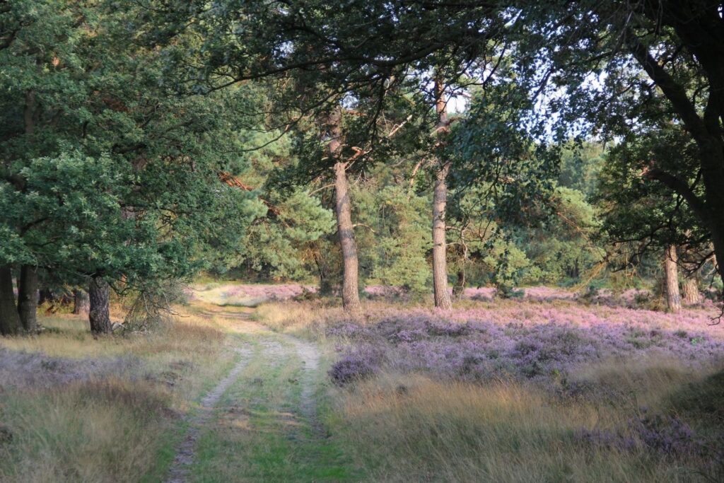 Leggelderveld foto Alanda de Boer