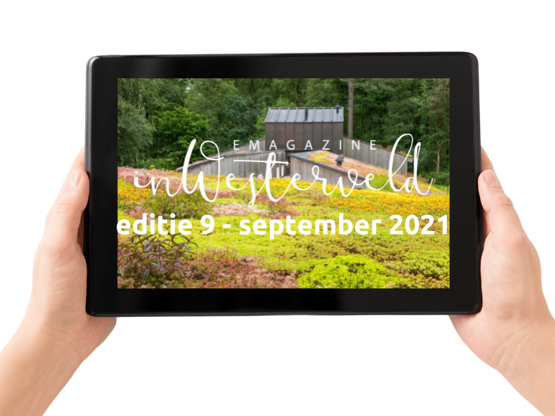 editie 9 - september 2021