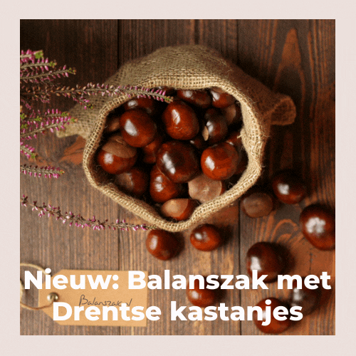 Balanszak