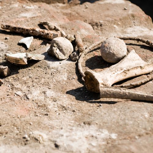 Archeologie