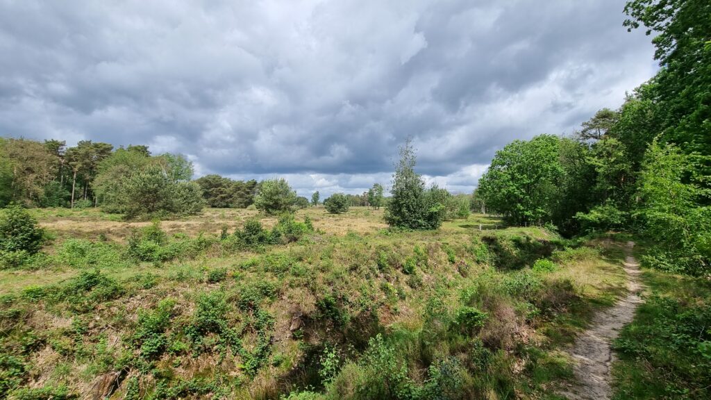 Leggelderveld