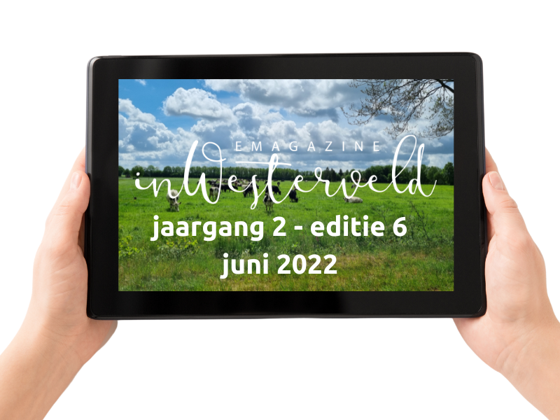 editie 6 - juni 2022